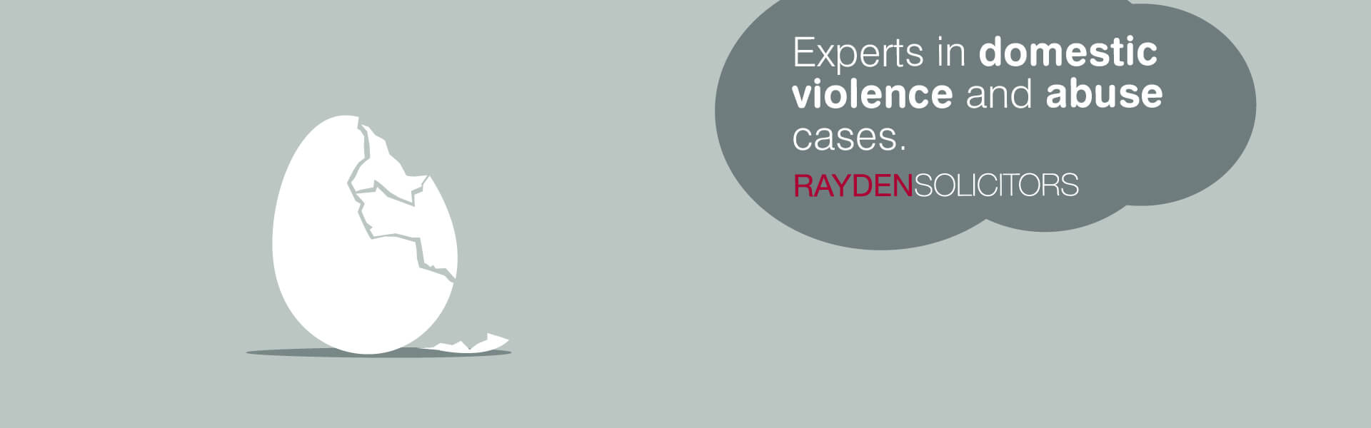 Experts in domestic violence and abuse cases