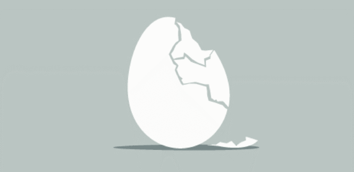 Cracked penguin's egg