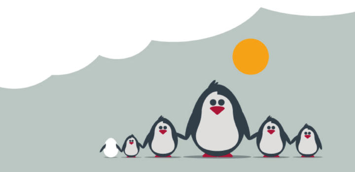 Penguin family in the sun