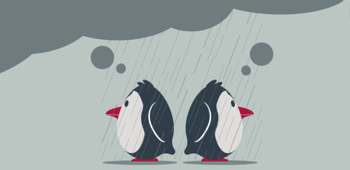 Penguins thinking