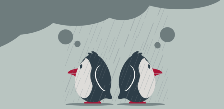 Penguins thinking in the rain