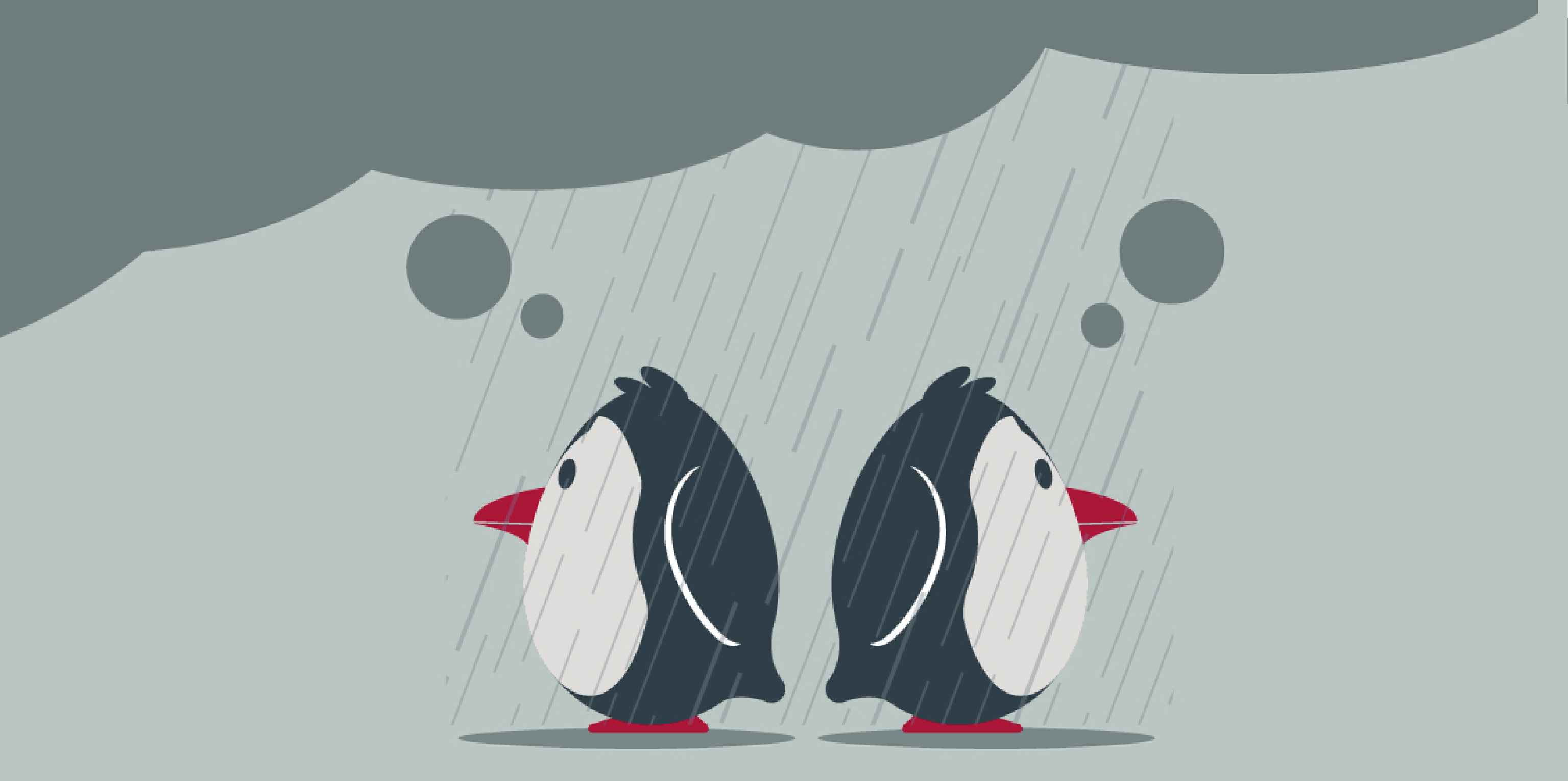 Penguins thinking